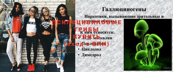 гидропоника Арсеньев