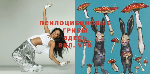 метадон Армянск