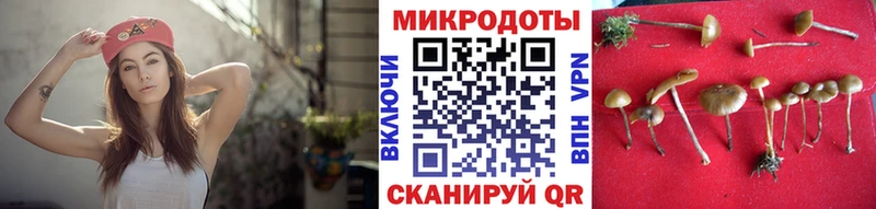 Псилоцибиновые грибы Magic Shrooms  Стрежевой 